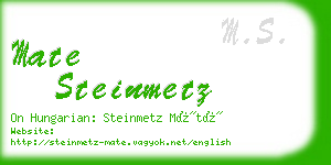 mate steinmetz business card